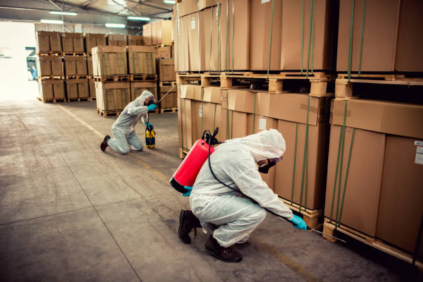 Best Pest Control for Homes  in Mariposa, CA
