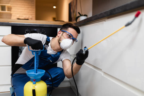 Best Pest Control Treatment  in Mariposa, CA