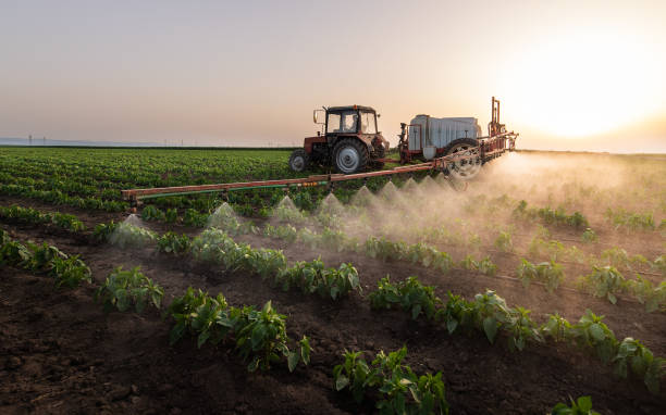 Best Pest Control Cost  in Mariposa, CA