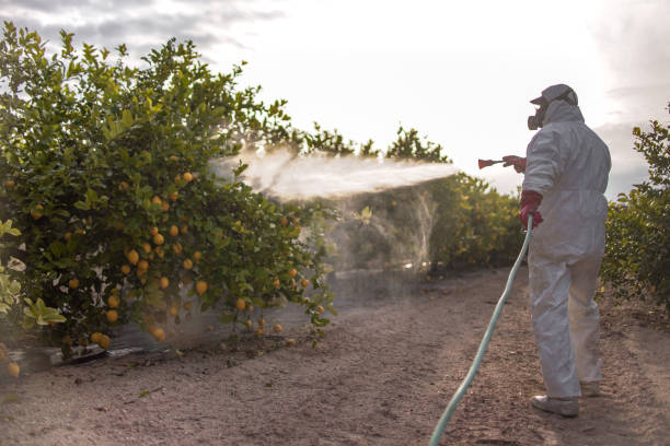 Best Pest Inspection Near Me  in Mariposa, CA