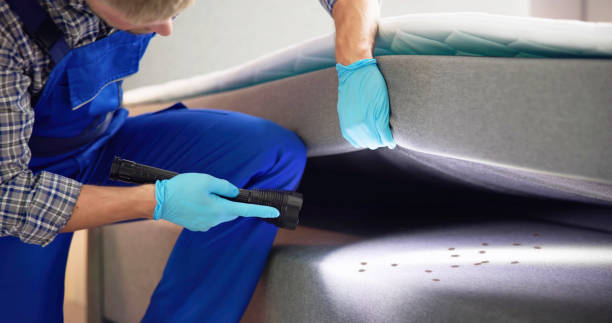 Reliable Mariposa, CA Pest Control Solutions